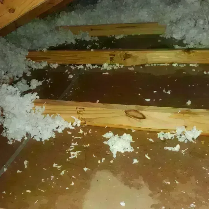 Attic Water Damage in Chowan County, NC