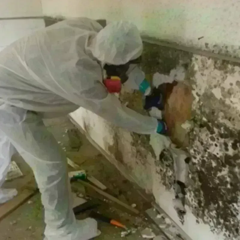 Mold Remediation and Removal in Chowan County, NC